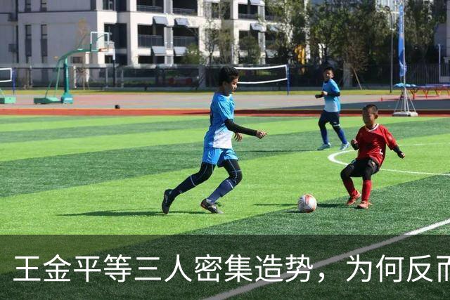 王金平等三人密集造势，为何反而坐实“蓝皮绿骨”标签？