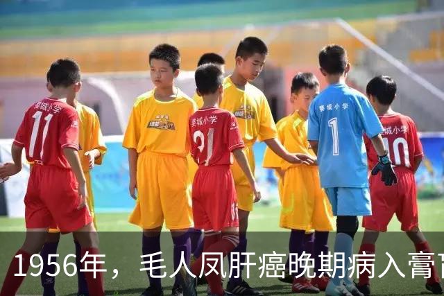 1956年，毛人凤肝癌晚期病入膏肓，蒋经国提着钱箱并提议他去美国治疗，毛人凤识破这是“催命符”